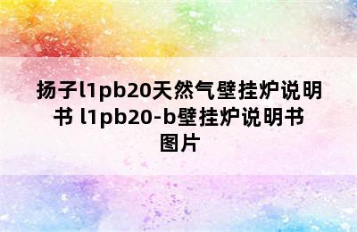 扬子l1pb20天然气壁挂炉说明书 l1pb20-b壁挂炉说明书图片